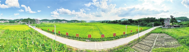 46c97902e11ad99bc52f731c4c9d2968_1012023_001_01_s.jpg