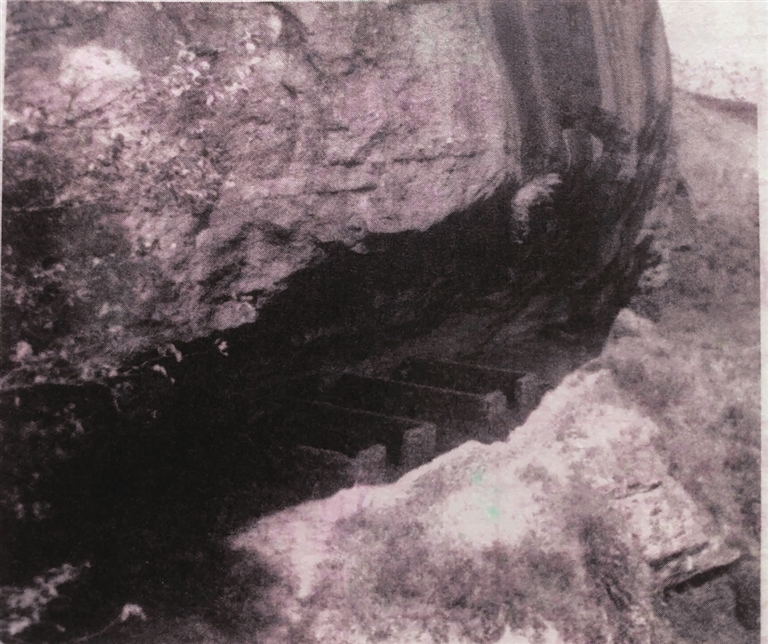 fe0f05040b1806d74233b26c646b64d1_hyrbs0710001_001_01_s.jpg