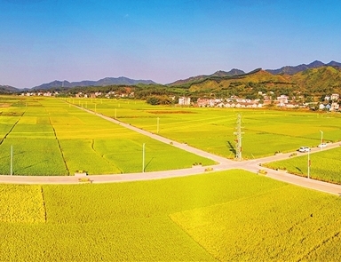 c63dd9f47ca096dc086e4b02486205e7_hyrbs1001004_001_05_s.jpg